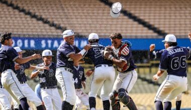 Masen Ruiz's 3-run triple keys Birmingham's City baseball title