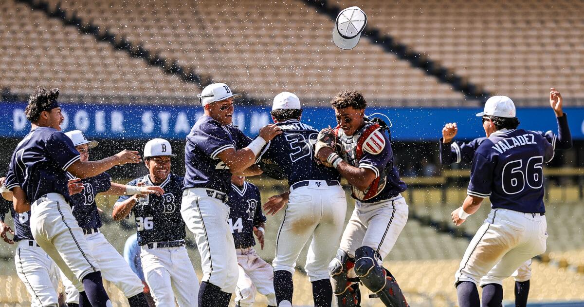 Masen Ruiz's 3-run triple keys Birmingham's City baseball title