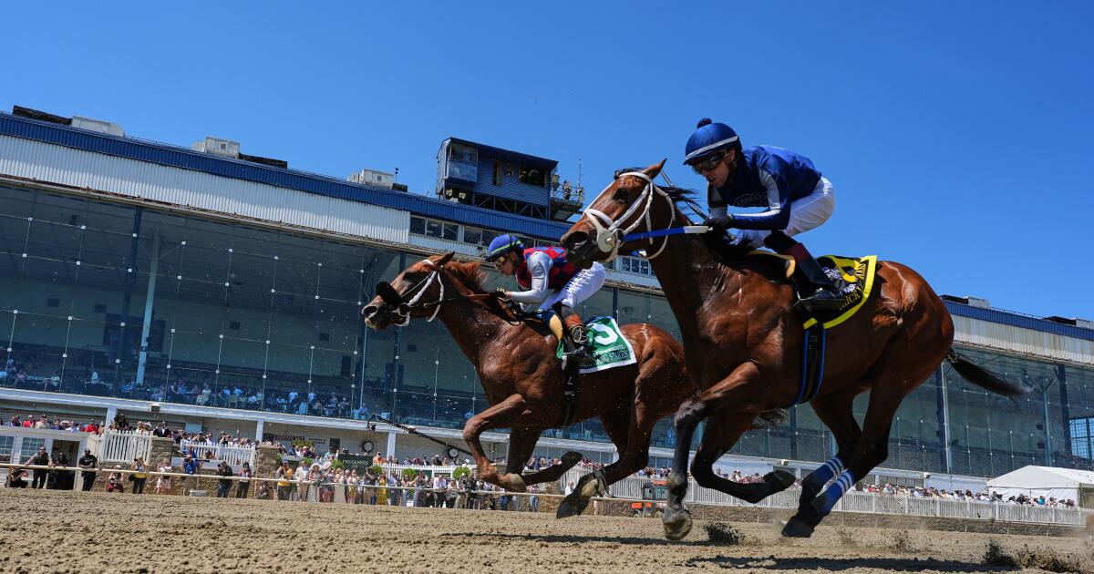 What time is the Preakness? Post time, betting odds and more
