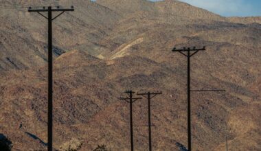Should a high-voltage power line run through California's largest state park? Critics are furious