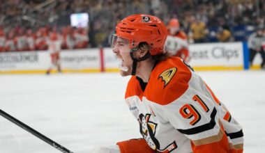 NHL playoffs: Lukas Dostal and Ducks defeat Vegas in Game 2