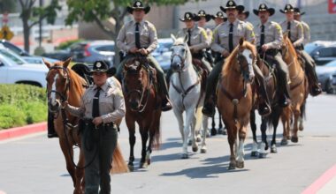 Grenade killed 3 L.A. sheriff’s detectives. Now, D.A. mulls charges
