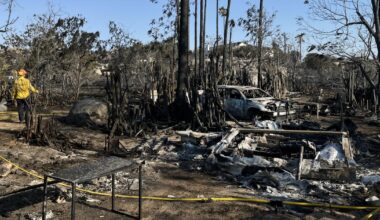 Raging fire burned millions of his bees. What comes next worries him