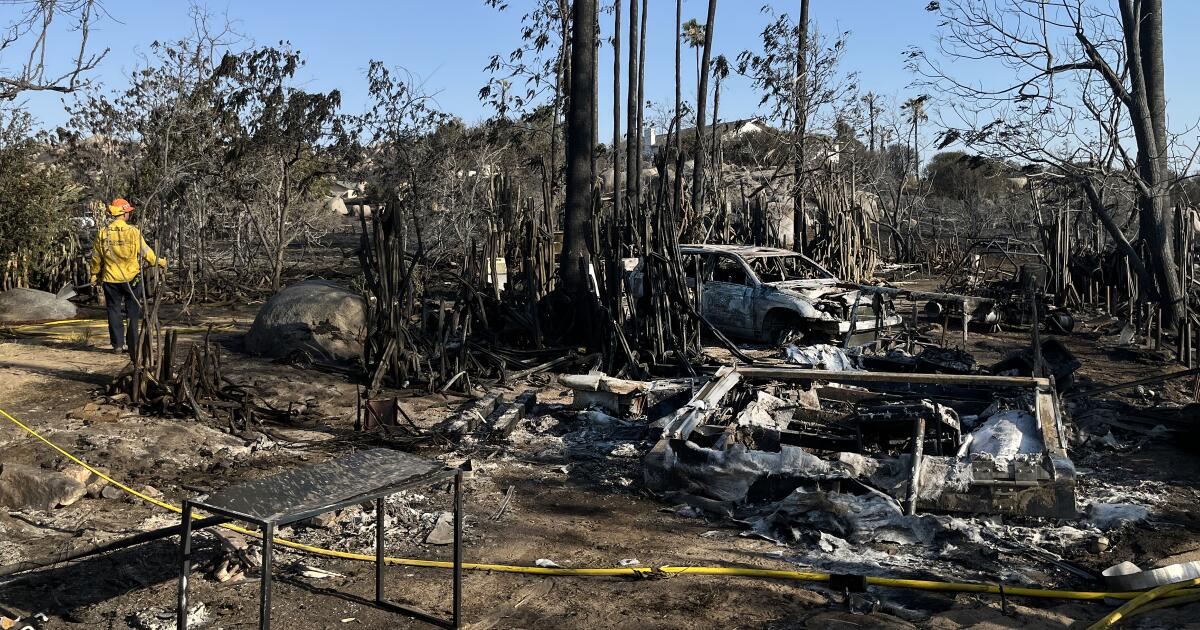 Raging fire burned millions of his bees. What comes next worries him
