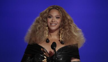 Beyoncé unreleased music thief pleads guilty, is sentenced
