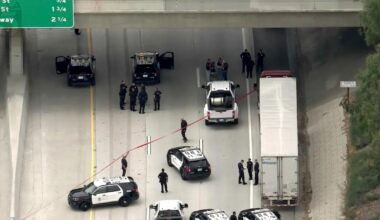 Wanted man runs onto 210 Freeway, tries to carjack a vehicle, is shot by police