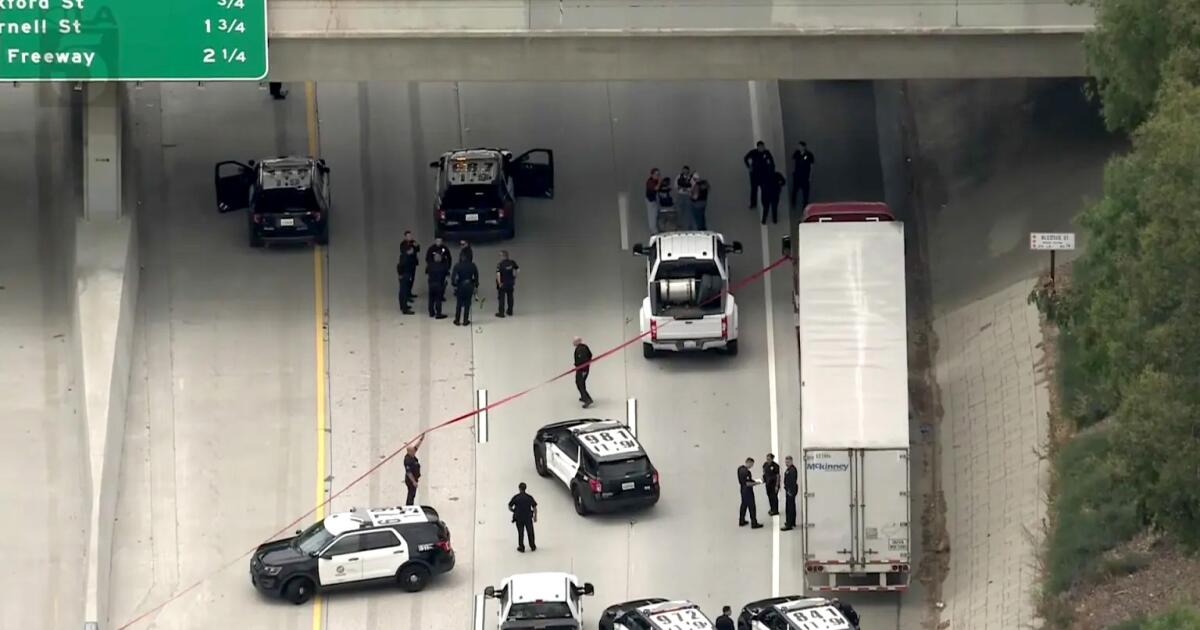 Wanted man runs onto 210 Freeway, tries to carjack a vehicle, is shot by police