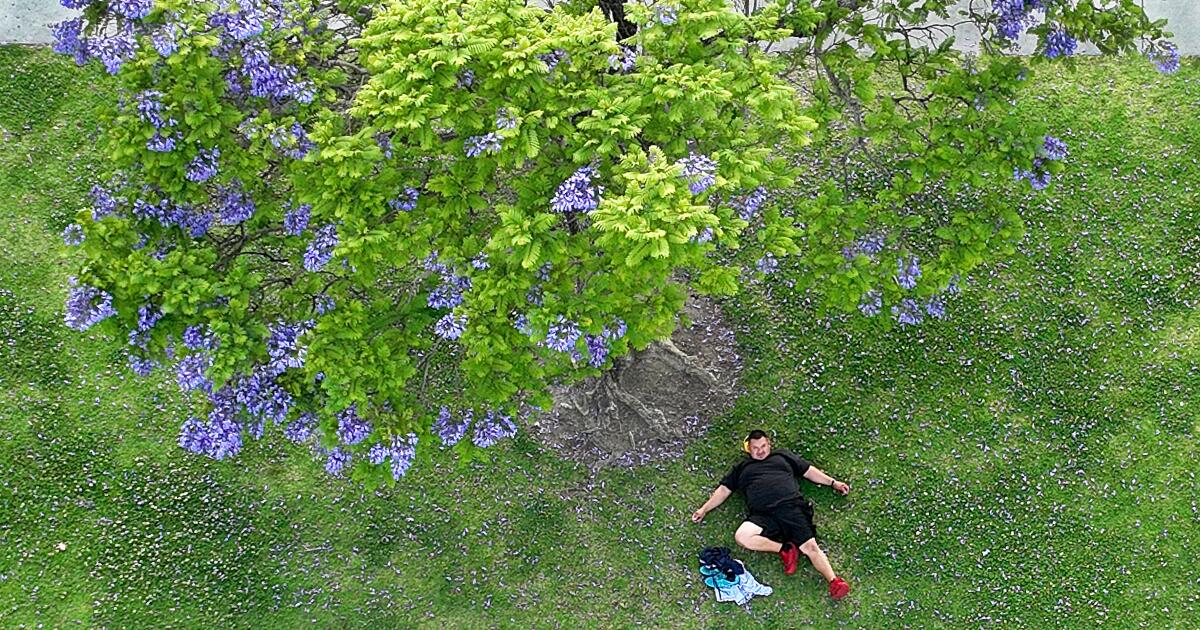 Southern California warms up; heat will peak on Mother's Day, forecasters say