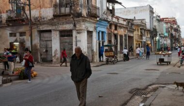 Cuban official says, 'We are prepared to pay the maximum price'