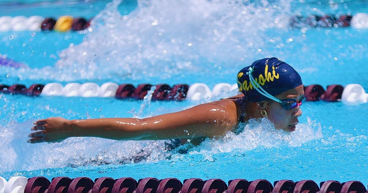 Gabi Brito shines for Santa Monica in Southern Section Division 1 swim championships