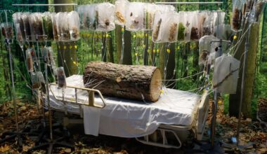 Inside downtown L.A.'s immersive 'Hospital of Emotions' exhibit