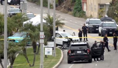 Arrest made in Playa del Rey hit-and-run that killed uncle and nephew