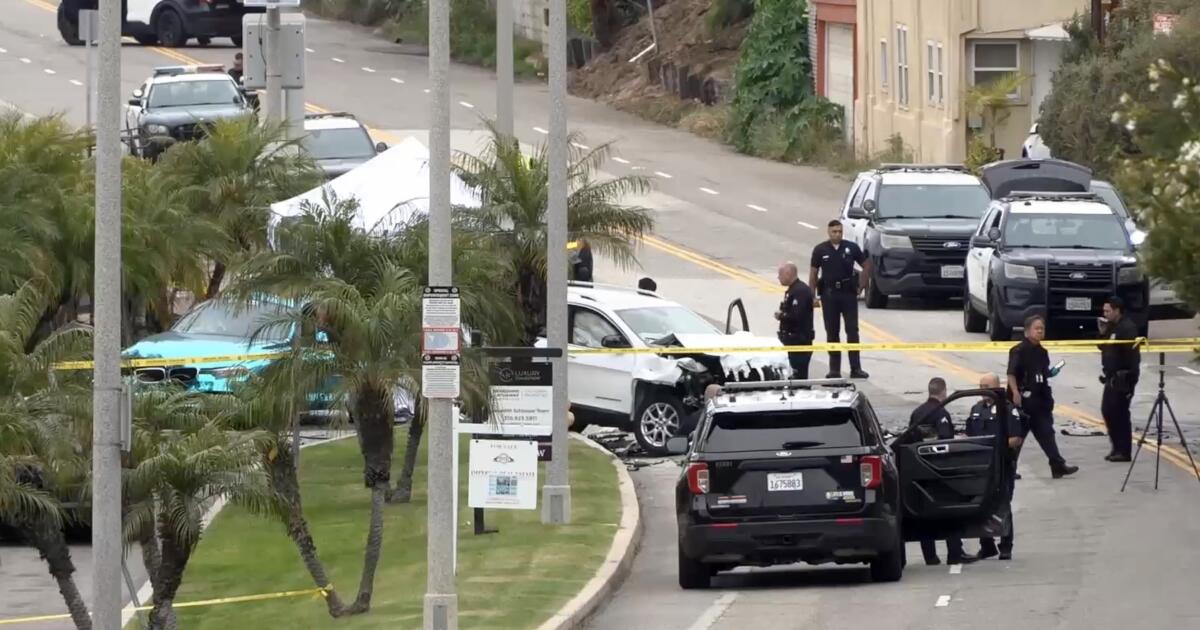 Arrest made in Playa del Rey hit-and-run that killed uncle and nephew