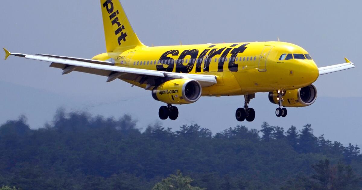 Spirit Airlines goes out of business, ending operations immediately
