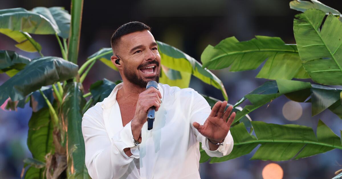 Ricky Martin safe after 'tear gas' stops show in Montenegro