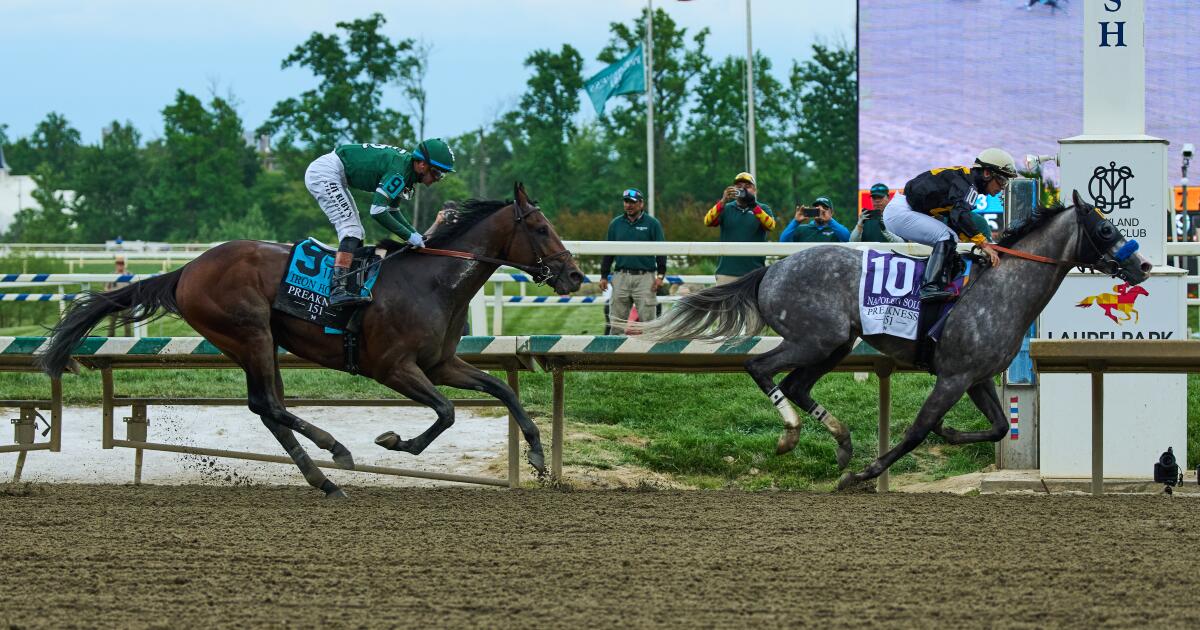Napoleon Solo wins the Preakness Stakes by a length