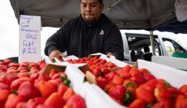 Soaring gas prices are leading to higher prices at farmers markets