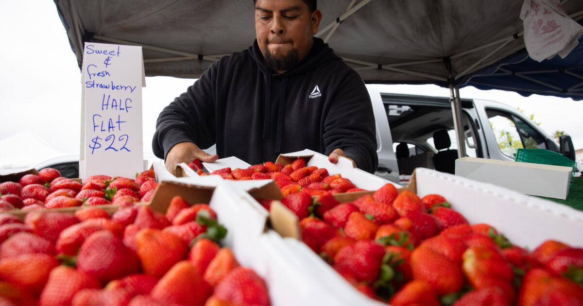 Soaring gas prices are leading to higher prices at farmers markets