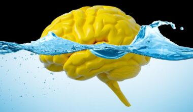 Study suggests gut movement may flush excess material from our brains