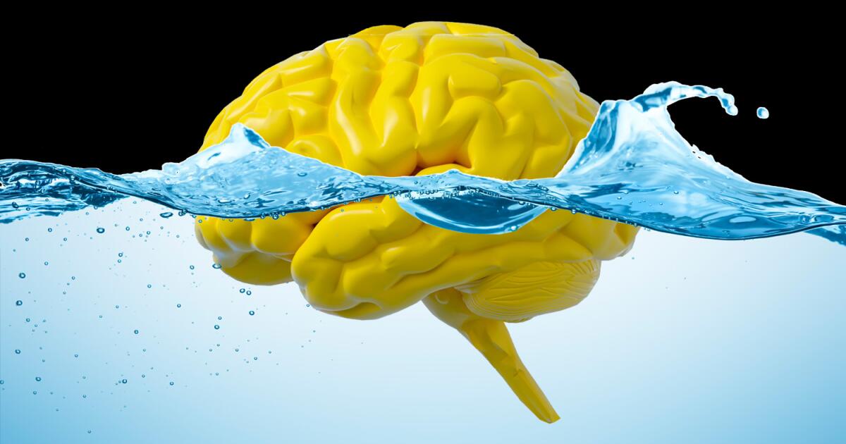 Study suggests gut movement may flush excess material from our brains