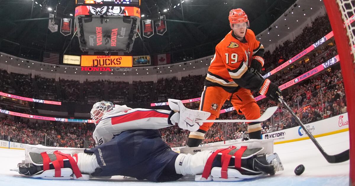 Ducks forward Troy Terry to have hip surgery, no return date set