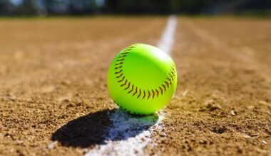 High school softball: City Section playoff scores and updated schedule
