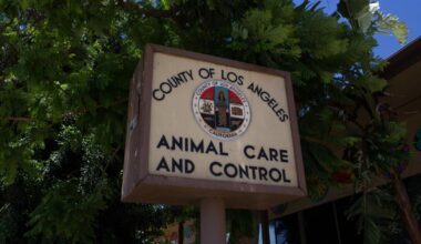 Lack of funding leads to severe neglect at SoCal animal rescues
