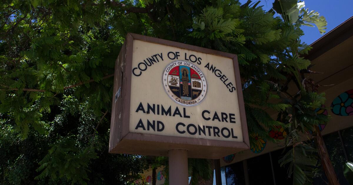 Lack of funding leads to severe neglect at SoCal animal rescues