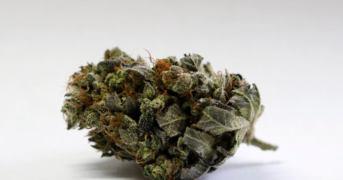 Looking to bring medical marijuana on a plane? What you need to know