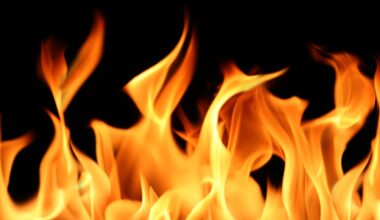 Fire destroys 3 buildings in town of Oakland - Superior Telegram