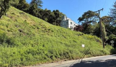 California Landowners Who Cut 38 Trees in Oakland Hills Hit With $915,000 Fine