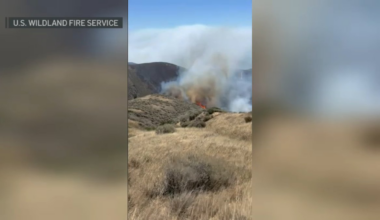 Wildfire scorches 10K+ acres on Santa Rosa Island – NBC Los Angeles