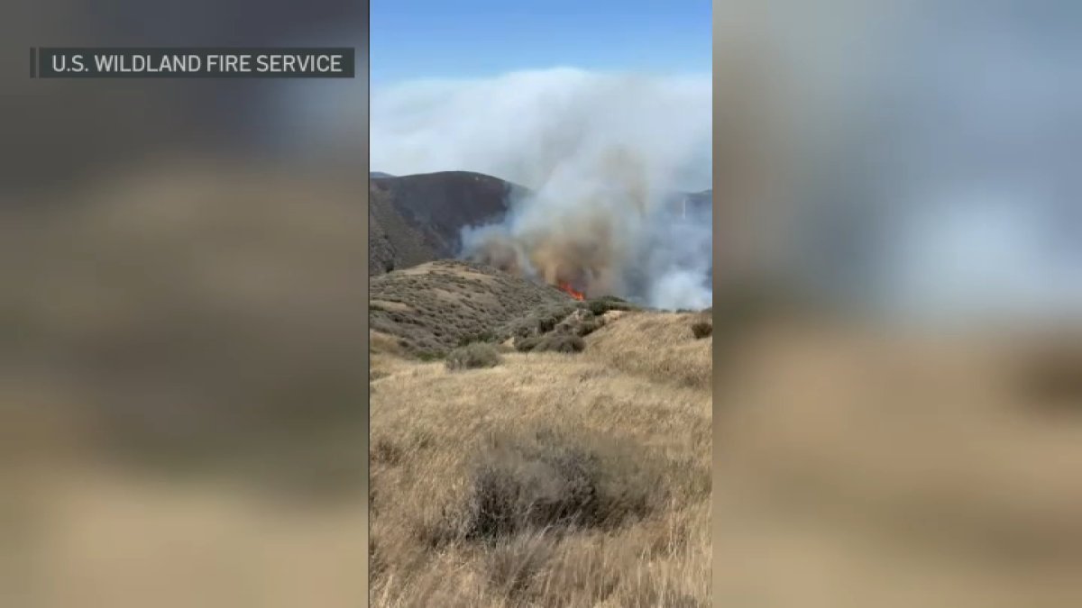 Wildfire scorches 10K+ acres on Santa Rosa Island – NBC Los Angeles
