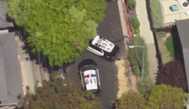 Venice residents concerned about recent violent attacks