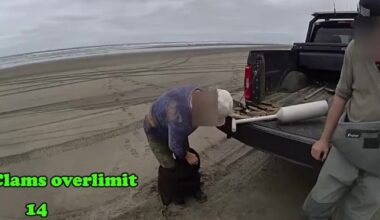 WA couple caught hiding dozens of razor clams in waders