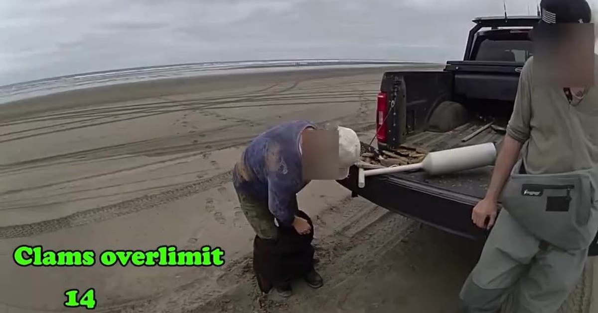 WA couple caught hiding dozens of razor clams in waders