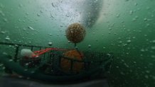 Pop-up gear offers fisherman a high-tech alternative to traditional crab traps, which have long been tied to length ropes left dangling out at sea for days at a time. Pop-up gear, however, allows traps to sit on the sea floor without that dangling rope. Once it's time to retrieve the traps, fishermen use GPS to locate the cages and then send out an acoustic signal to trigger the pop-up gear to release a buoy tied to rope that floats to the surface so fishermen can reel in the trap.