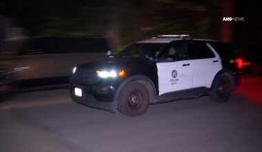 Armed would-be burglars in Westwood scared off by security – NBC Los Angeles