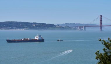 A new whale detection network launches in San Francisco Bay, alerting ships in real time