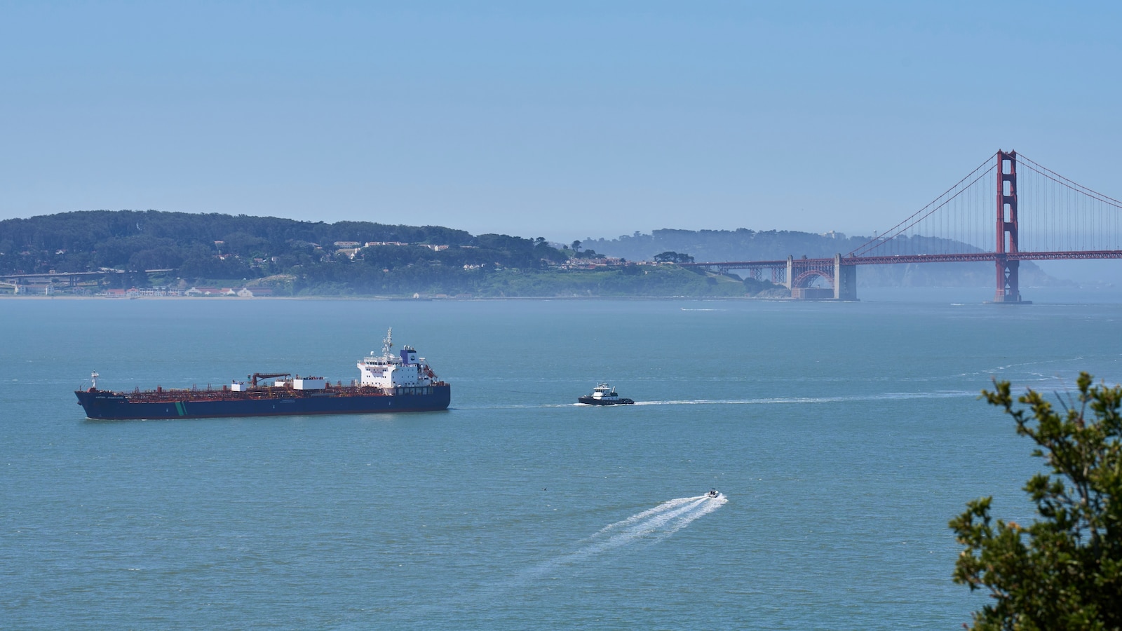 A new whale detection network launches in San Francisco Bay, alerting ships in real time