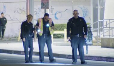 Hit-and-run driver kills woman in crosswalk with cane, witnesses say