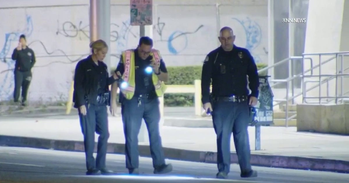 Hit-and-run driver kills woman in crosswalk with cane, witnesses say