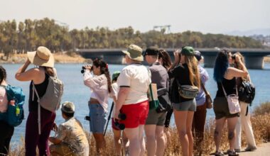 Local women align passion with values in new chapter of Feminist Bird Club