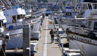 NOAA to allocate $21.3 million to aid California's beleaguered commercial salmon fishery