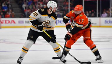 Mar 26, 2025; Anaheim, California, USA; Anaheim Ducks left wing Alex Killorn (17) plays for the puck against Boston Bruins center Pavel Zacha (18) during the third period at Honda Center. Mandatory Credit: Gary A. Vasquez-Imagn Images