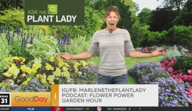 Plant Lady (part 2) 8am
