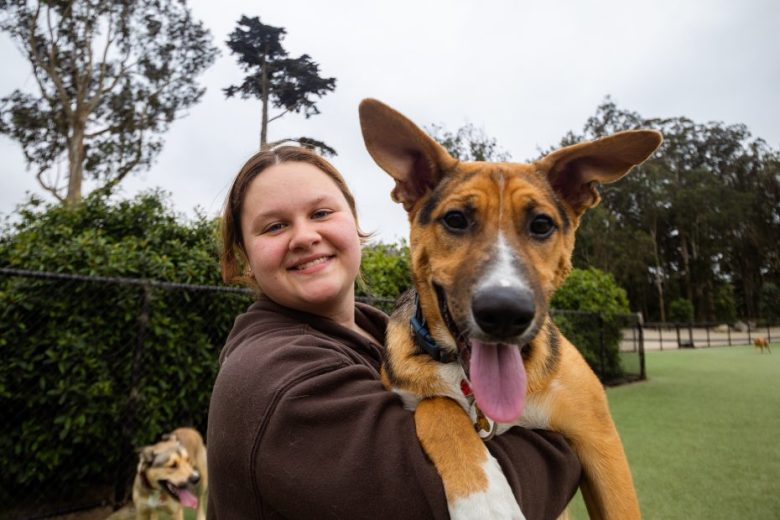 A person in a brown hoodie holds a large, happy dog with its tongue out at an outdoor park, with trees and a fence in the background.
