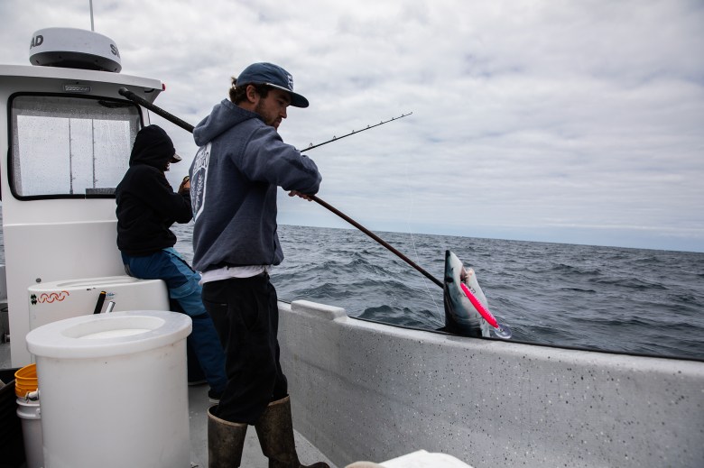 A person uses a fishing rod to pull in a mako shark onto a small white fishing boat, that sways among the ocean waves during a cloudy morning. A person wearing a black hoodie can be seen in the background adjusting with a fishing rod.