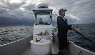 Why some people are quitting jobs to work in a graying fishing fleet