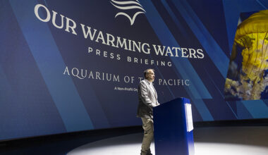 Aquarium of the Pacific Experts Discuss El Niño, Marine Heatwaves, and What They Could Mean for Southern California's Ocean